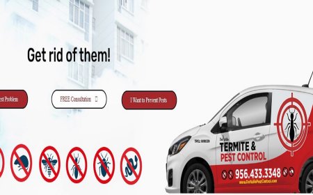 Rodent Control Made Simple: How to Keep Rats and Mice Out of Your Home for Good