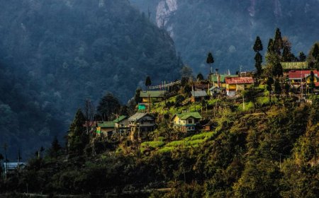 Unveiling the Beauty of Sikkim and Darjeeling: Your Perfect Hill Holiday