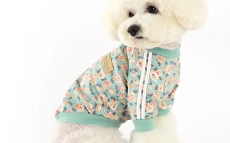 How to Choose the Right Pet Wear from a Reliable Pet Supplies Store