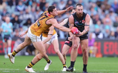 Exploring the Best Aussie Betting Sites: Your Guide to a Safe and Enjoyable Experience