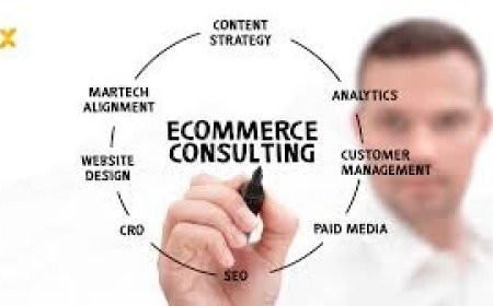 Professional Ecommerce Consultant Services to Help You Launch, Optimize, and Grow Your Online Store with WebCraftio
