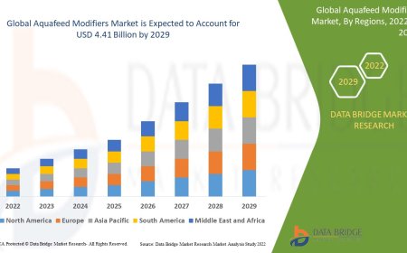 Aquafeed Modifiers Market: Insights, Key Players, and Growth Analysis