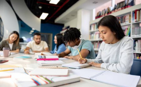 How Dissertation Consulting Helps UK Students Succeed With Confidence