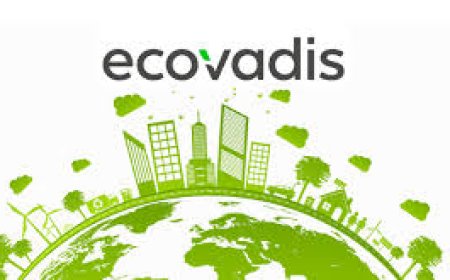 Why EcoVadis Is Becoming a Global Standard for Sustainable Business Practices