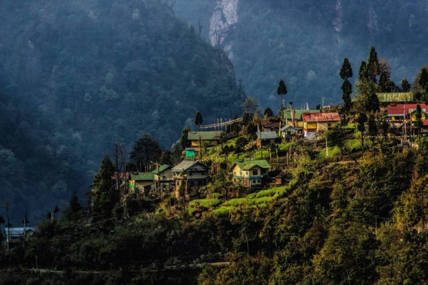 Unveiling the Beauty of Sikkim and Darjeeling: Your Perfect Hill Holiday