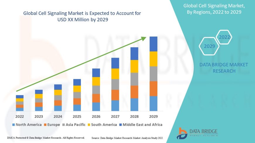 Cell Signaling Market Size, Share & Forecast to 2030: Pathway Analysis & Therapeutic Applications