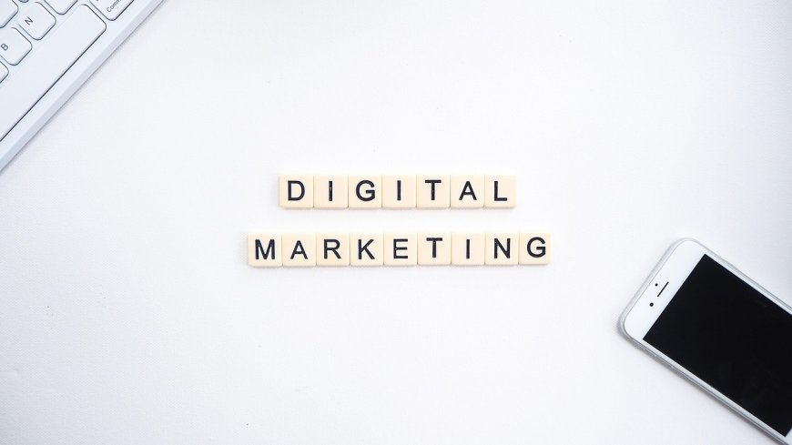Best SEO Freelancer in Surat