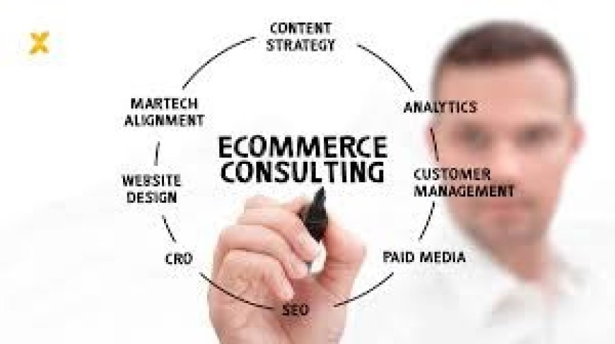 Professional Ecommerce Consultant Services to Help You Launch, Optimize, and Grow Your Online Store with WebCraftio