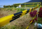 The Essential Roles of Geomatics Companies, Boundary Line Surveys, and Construction Surveying Services