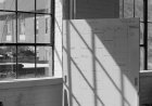 The Transformative Power of Executive Business Coaching