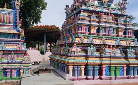 Tirupati in a Day: A Journey of Travel, Darshan & Peaces