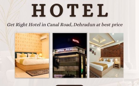 Your Ideal Retreat in the City – Hotel Royal Palm, Dehradun