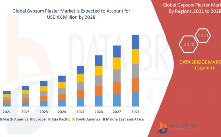 Gypsum Plaster Market Opportunities and Forecast By 2028