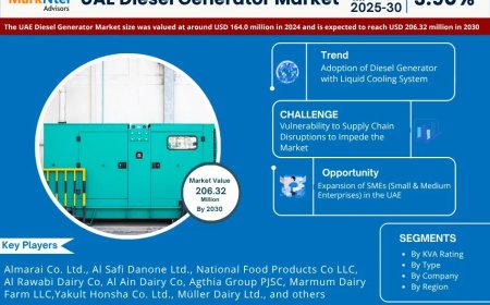 UAE Diesel Generator Poised for 3.90% CAGR Growth Through 2030