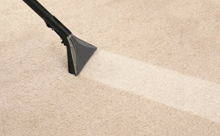 Water Extraction Carpet Cleaning Near Me