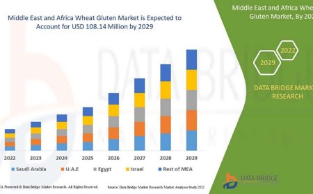 Middle East and Africa Wheat Gluten Market Demand: Growth, Share, Value, Size, and Insights