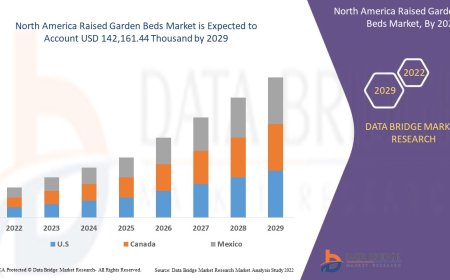 North America Raised Garden Beds Market Revenue Analysis: Growth, Share, Value, Size, and Insights