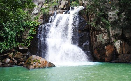 Experience Nature and Peace with a Daringbadi Tour Today