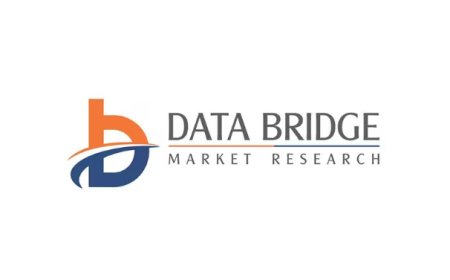 Asia-Pacific Raised Garden Beds Market Revenue Forecast: Growth, Share, Value, and Trends