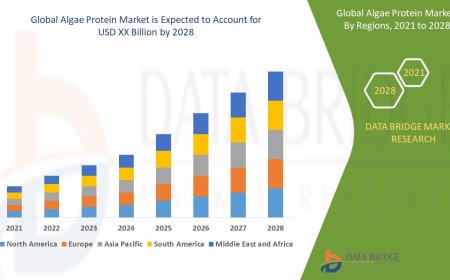 Global Algae Protein Market Challenges: Growth, Share, Value, Size, and Scope