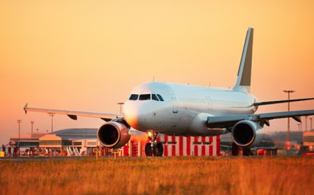 Delta Airlines Alliance: SkyTeam Partners And Global Benefits