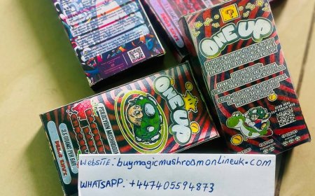 BENEFIT OF MAGIC MUSHROOM CHOCOLATE BAR TO THE UNITED KINGDOM