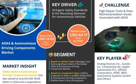 ADAS & Autonomous Driving Components Market Research 2025–2030: Growth, Size & Opportunities