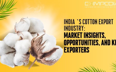 India’s Cotton Export Industry: Market Insights, Opportunities, and Key Exporters