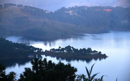 Discover Nature with the Best Meghalaya Trip Package Today