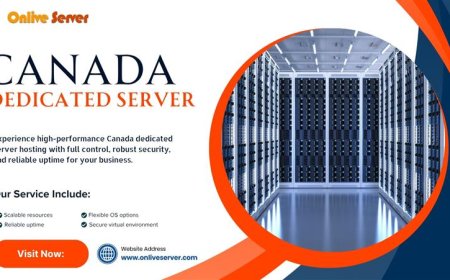 Onlive Server: Where Reliability Meets Innovation for Canada Dedicated Server