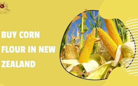 Top 5 Reasons to Buy Corn Flour in New Zealand from Us
