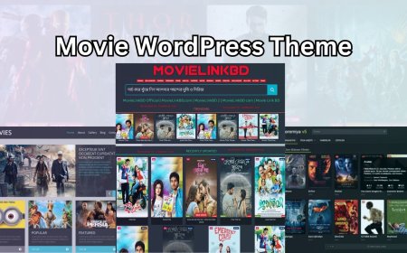 Is This The Best Filmmaker WordPress Theme Right for You?