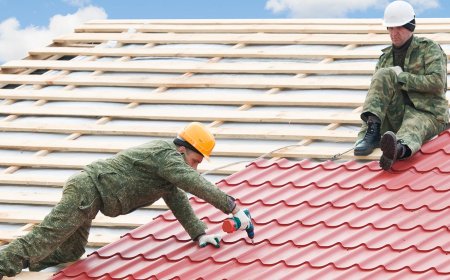 Ace Roofing Co: Affordable & Professional Roof Services