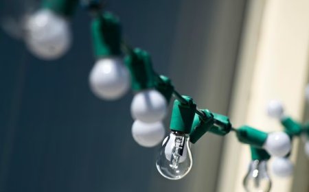 Trimlight vs. Traditional Holiday Lights: Which Is Right for You?