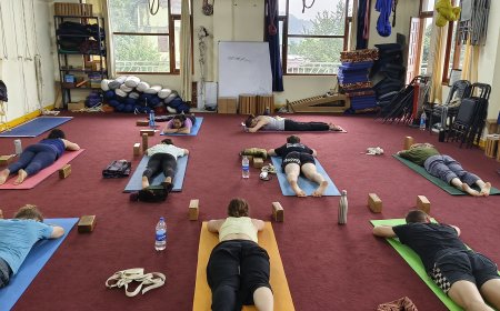 Discover the Best Yin Yoga Teacher Training in India with MahiYoga