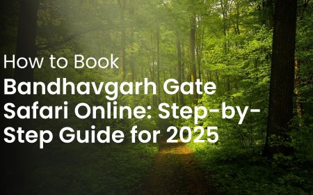 How to Book Bandhavgarh Gate Safari Online: Step-by-Step Guide for 2025