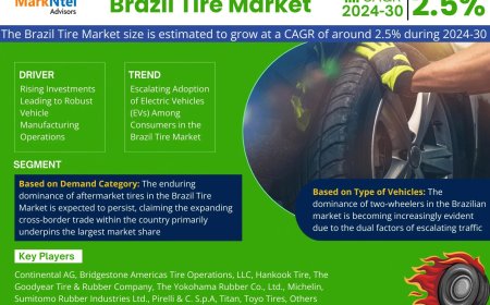 Brazil Tire Market Research 2024–2030: Growth, Size & Opportunities