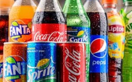 How Can a Food Beverage Sales Agency Boost Your Brand?