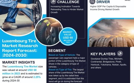 Luxembourg Tire Market Research 2024–2030: Growth, Size & Opportunities
