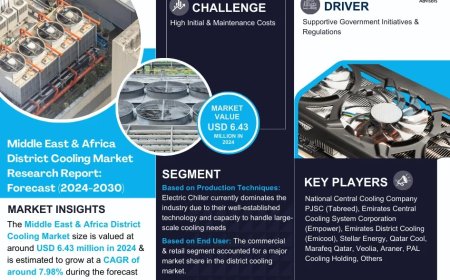 Middle East & Africa District Cooling Market Research 2024–2030: Growth, Size & Opportunities