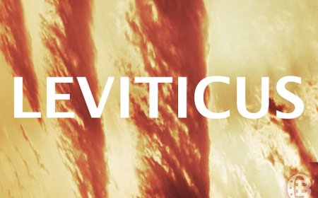 What Are the 5 Offerings in the Book of Leviticus