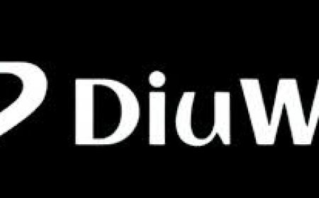 What Makes Diuwin Different from Other Color Games?