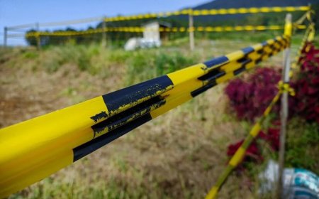The Essential Roles of Geomatics Companies, Boundary Line Surveys, and Construction Surveying Services