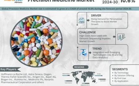 Precision Medicine Market Research 2024–2030: Growth, Size & Opportunities