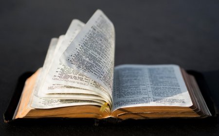 Does Jesus Say the Old Testament Is True?
