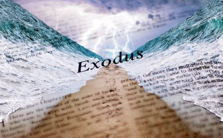 What Is the Basic Story of Exodus?