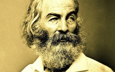 30 Walt Whitman Poems About Praise You May Be Interested In