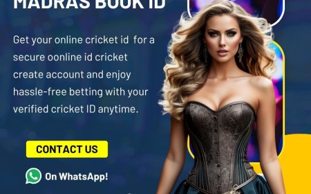 User Experience Review of Top Betting Interfaces in 2025