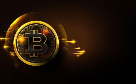 Bitcoin Casino Software Development: Launch Your Crypto Gaming Platform