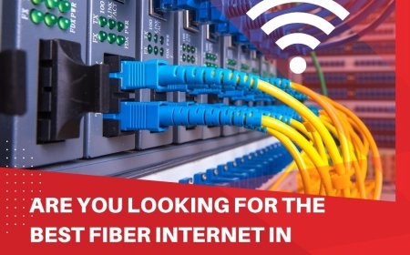 Looking for Fast Fiber Internet in Faridabad? Discover the Best WiFi and Fiber Options